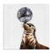 Stupell Industries Seal Balancing Disco Ball Canvas Design by Amanda Greenwood